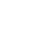 check-icon